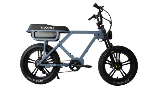 EUNORAU FLASH Electric Bike RWD (Moon Black)