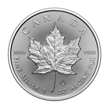 2025 Canadian Maple Leaf Silver Coin | Royal Canadian Mint