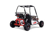 TAO MOTORS / Side-by-Side Triton 125 120CC, 4-STROKE PDI/Freight Extra