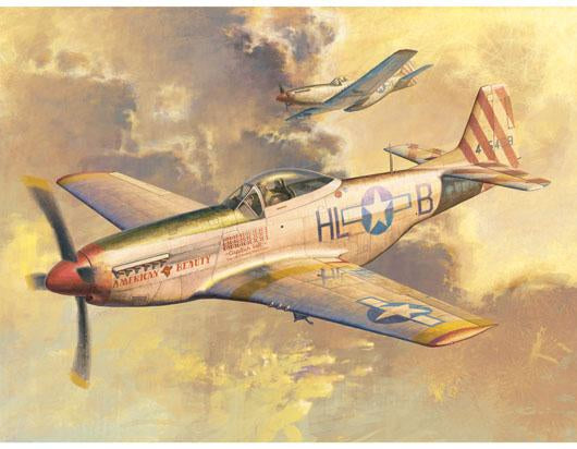 Trumpeter 1/32 P-51 D Mustang Model Kit