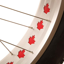 EVO OMW Fat Tire Mountain Bike 26" Medium