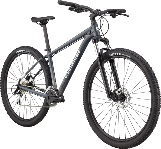Cannondale Trail 6 M 29" X-Large (Slate)
